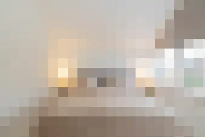 De Savornin Lohmanlaan 17 Hillegom thumbnail 45