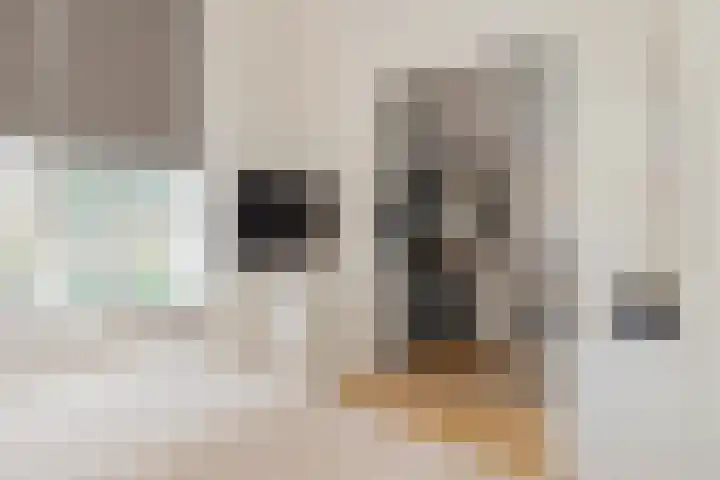 De Savornin Lohmanlaan 17 Hillegom thumbnail 48