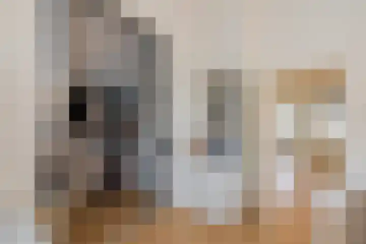 De Savornin Lohmanlaan 17 Hillegom thumbnail 49