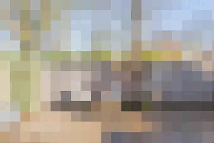 De Savornin Lohmanlaan 17 Hillegom thumbnail 51