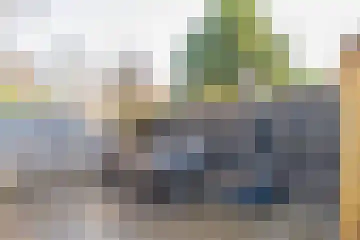 De Savornin Lohmanlaan 17 Hillegom thumbnail 54
