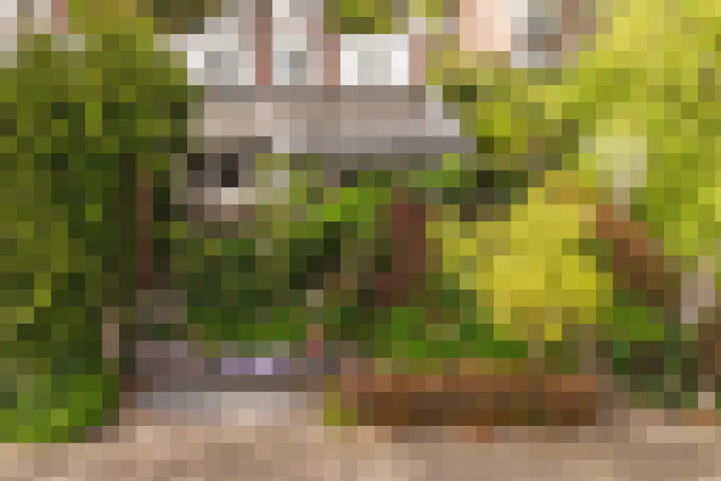 De Savornin Lohmanlaan 2 Arnhem thumbnail 31