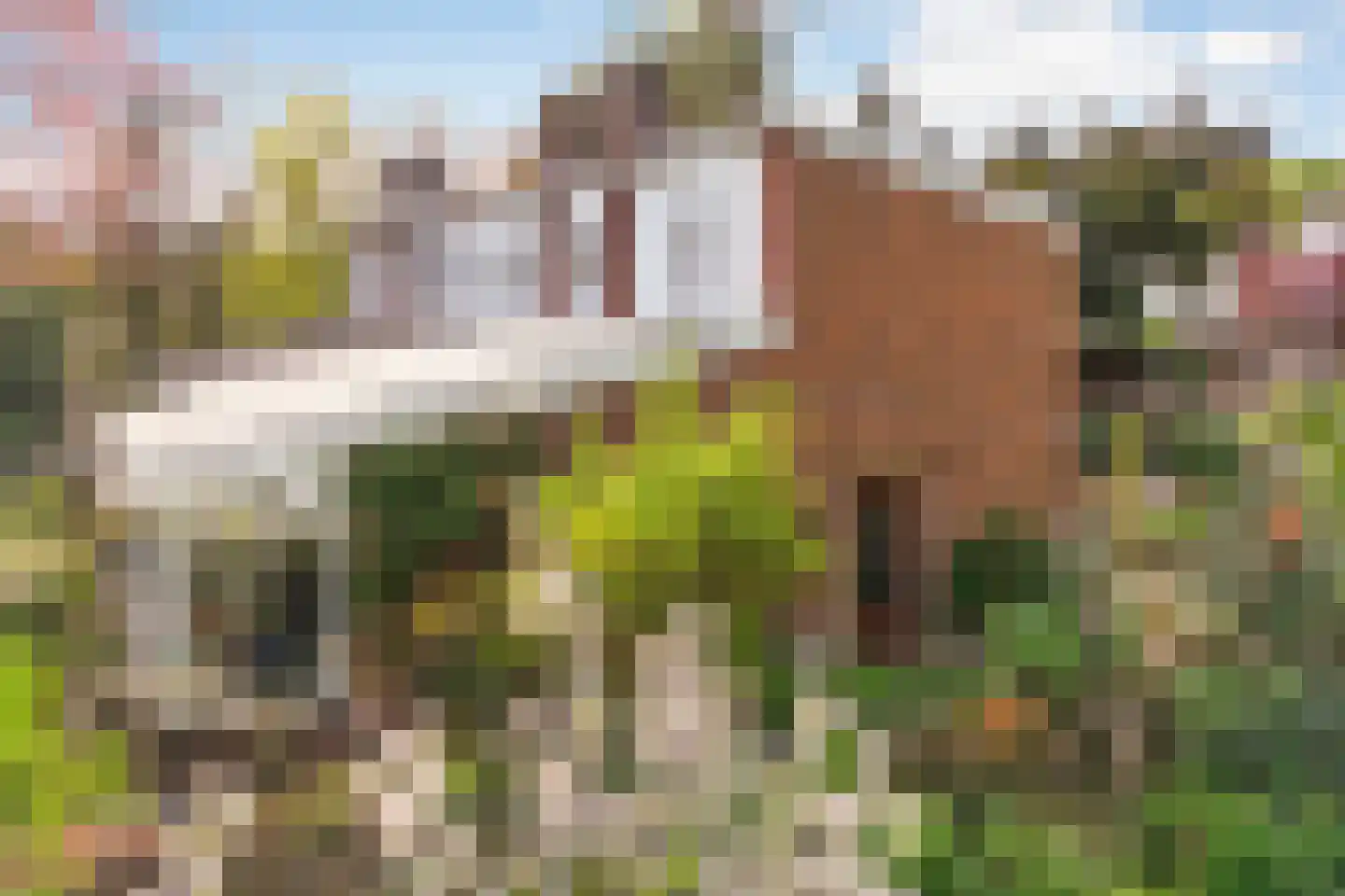 De Savornin Lohmanlaan 2 Arnhem thumbnail 33