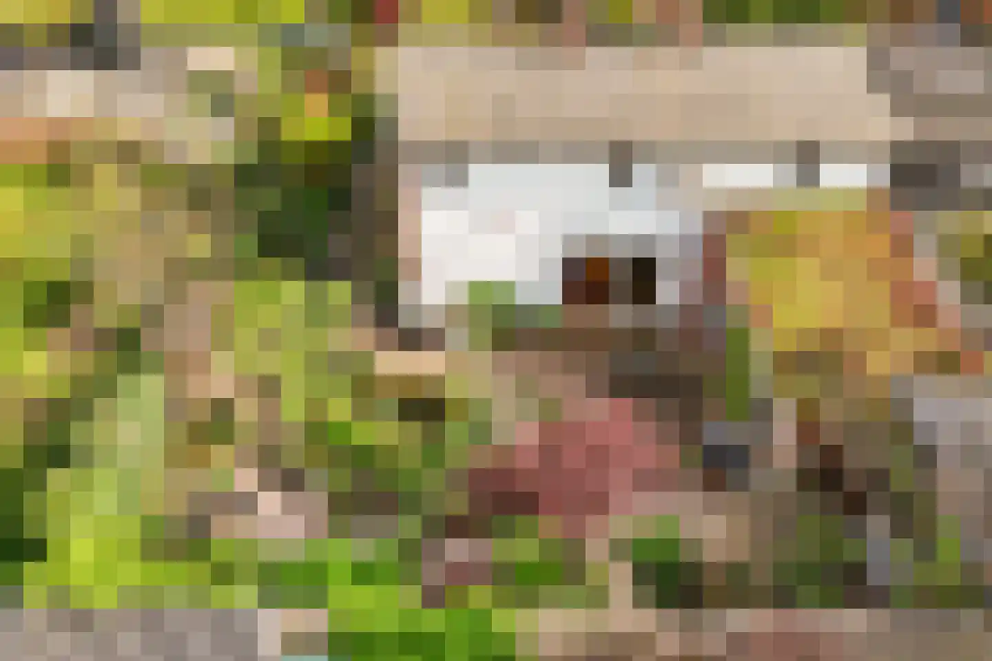 De Savornin Lohmanlaan 2 Arnhem thumbnail 34