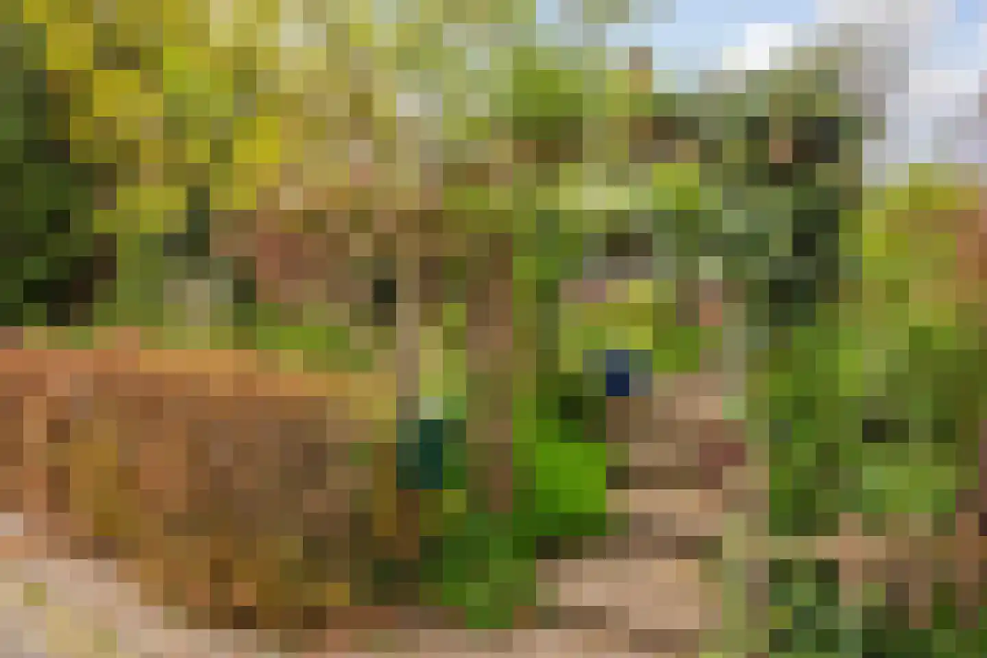 De Savornin Lohmanlaan 2 Arnhem thumbnail 36