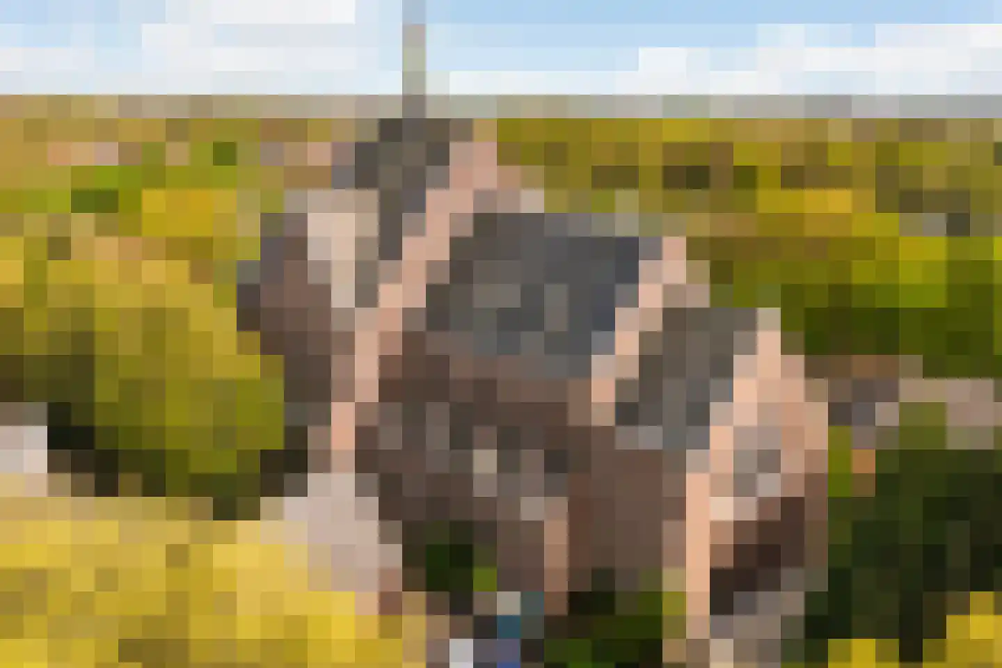 De Savornin Lohmanlaan 2 Arnhem thumbnail 42