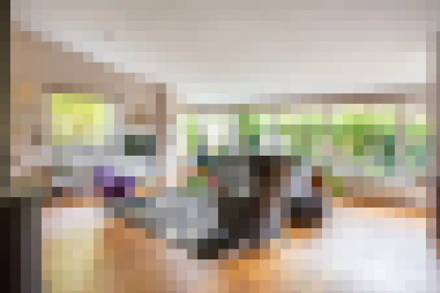 De Savornin Lohmanlaan 2 Arnhem thumbnail 6