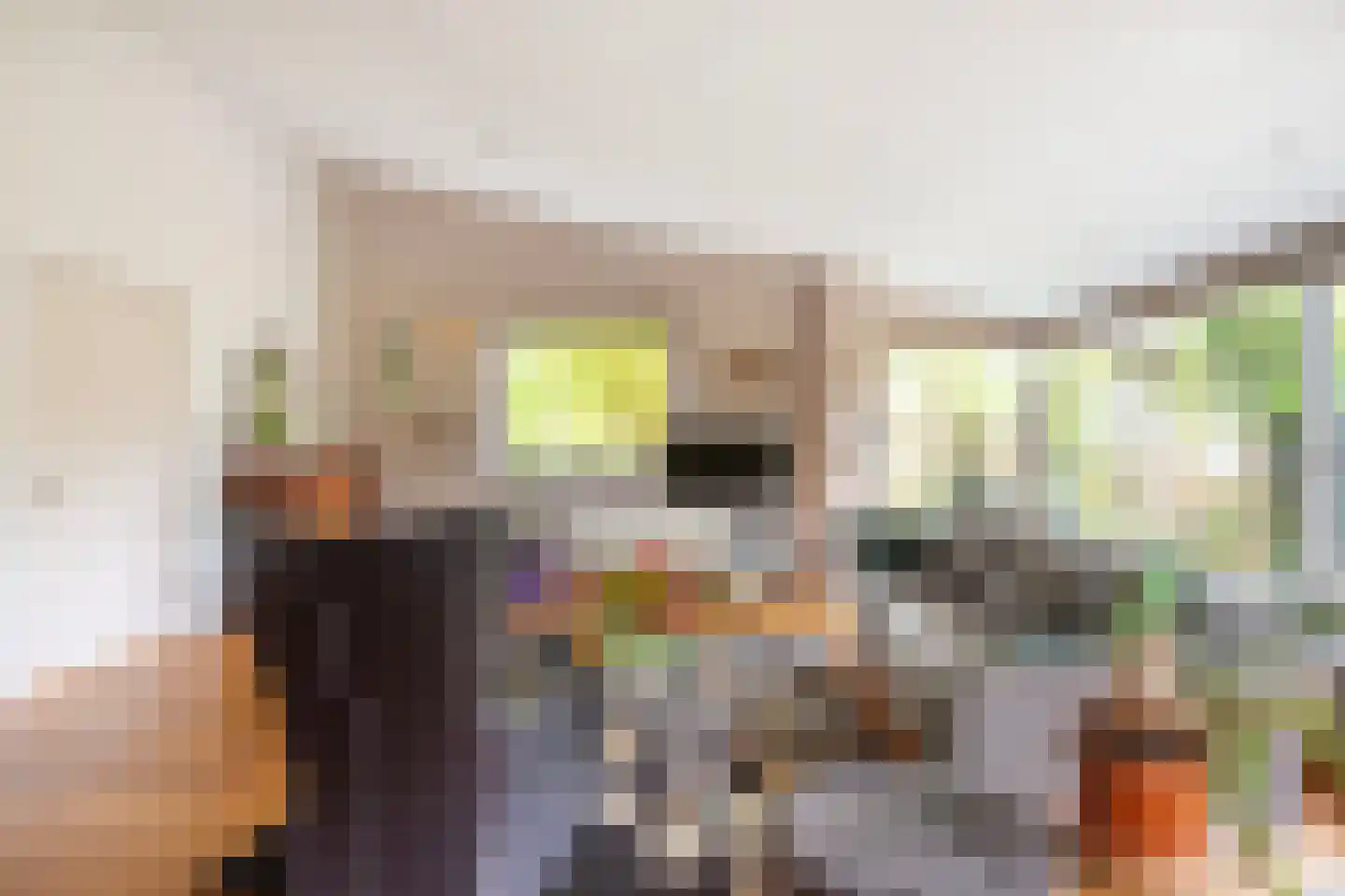 De Savornin Lohmanlaan 2 Arnhem thumbnail 8