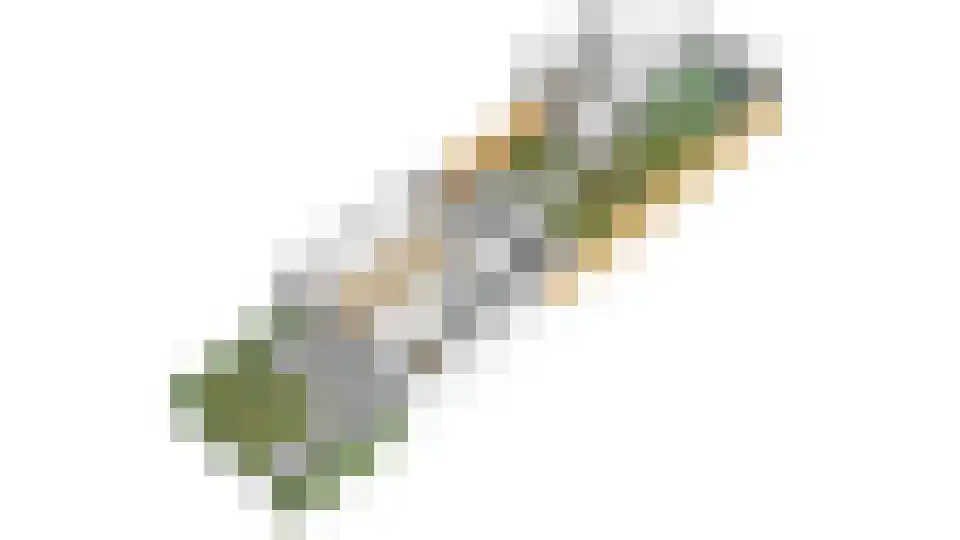 de Savornin Lohmanlaan 2 Baarn thumbnail 35