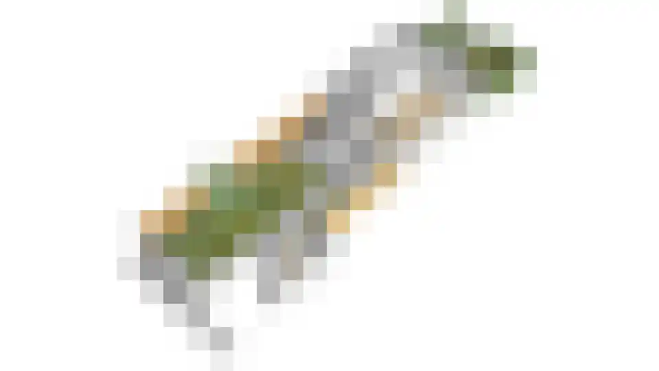 de Savornin Lohmanlaan 2 Baarn thumbnail 36