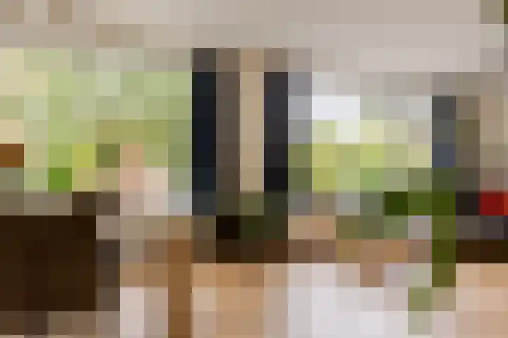 De Savornin Lohmanlaan 20 B 02 Rotterdam thumbnail 10
