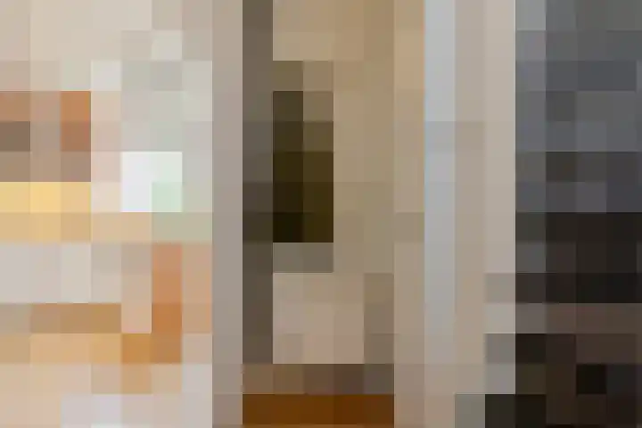 De Savornin Lohmanlaan 20 B 02 Rotterdam thumbnail 11