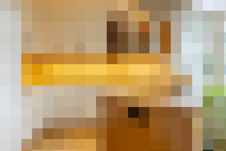 De Savornin Lohmanlaan 20 B 02 Rotterdam thumbnail 13