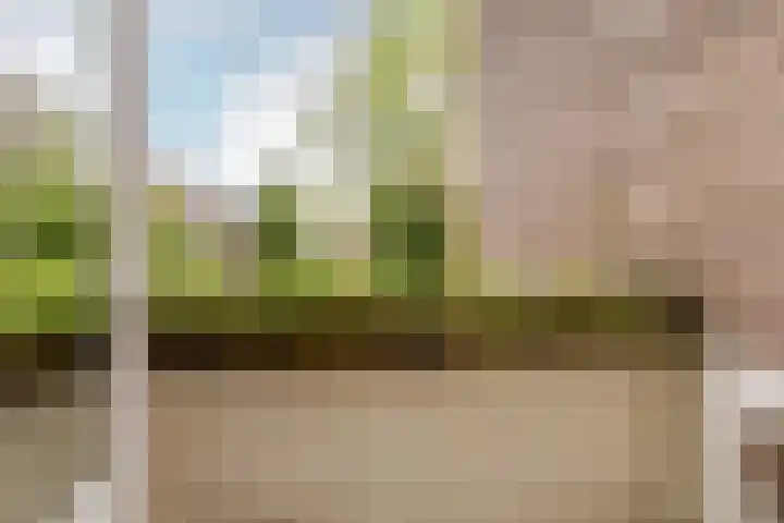 De Savornin Lohmanlaan 20 B 02 Rotterdam thumbnail 16