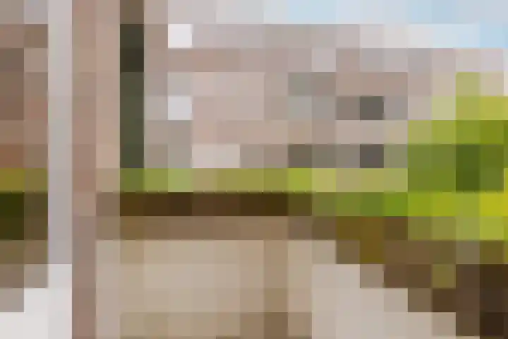 De Savornin Lohmanlaan 20 B 02 Rotterdam thumbnail 17