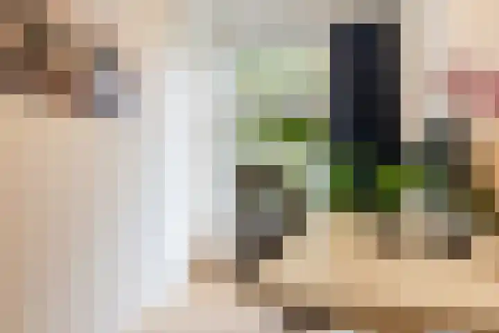 De Savornin Lohmanlaan 20 B 02 Rotterdam thumbnail 18