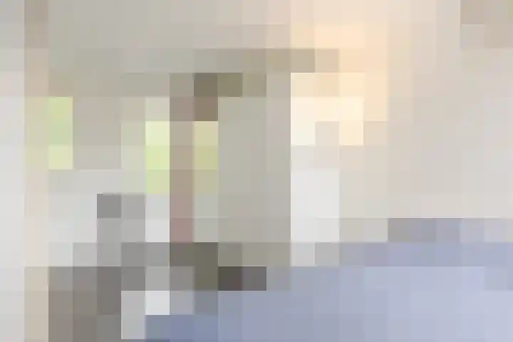 De Savornin Lohmanlaan 20 B 02 Rotterdam thumbnail 21