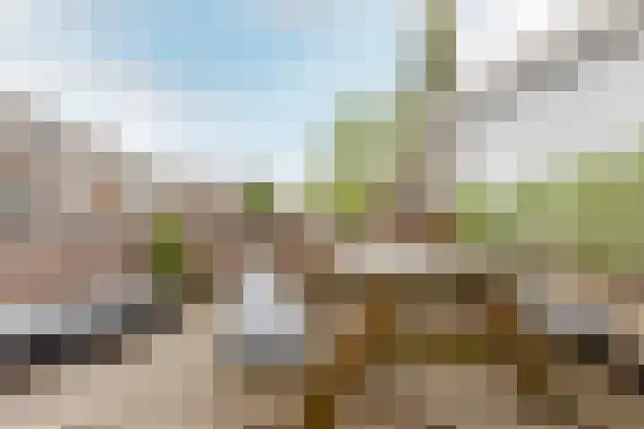 De Savornin Lohmanlaan 20 B 02 Rotterdam thumbnail 25