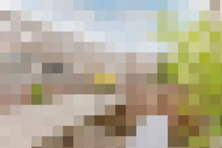De Savornin Lohmanlaan 20 B 02 Rotterdam thumbnail 27