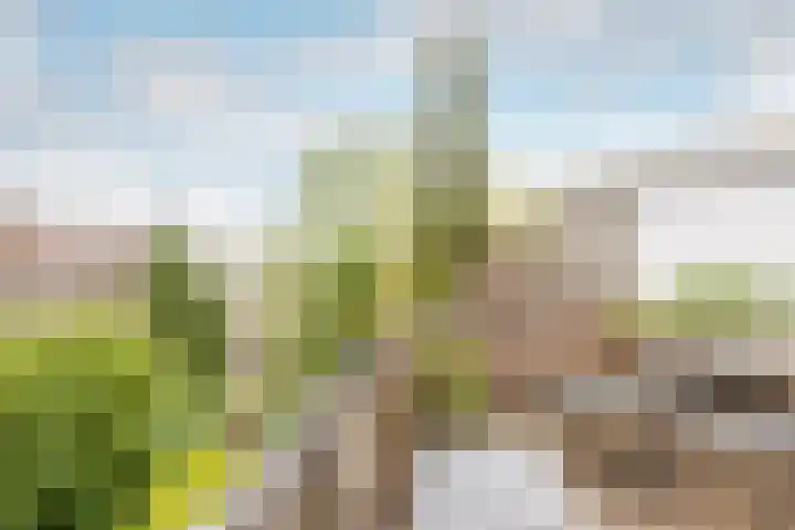 De Savornin Lohmanlaan 20 B 02 Rotterdam thumbnail 28