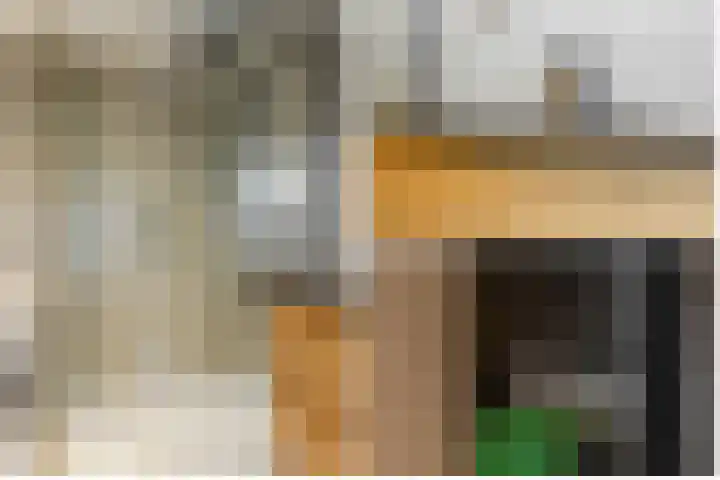 De Savornin Lohmanlaan 20 B 02 Rotterdam thumbnail 31
