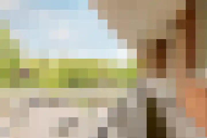 De Savornin Lohmanlaan 20 B 02 Rotterdam thumbnail 32