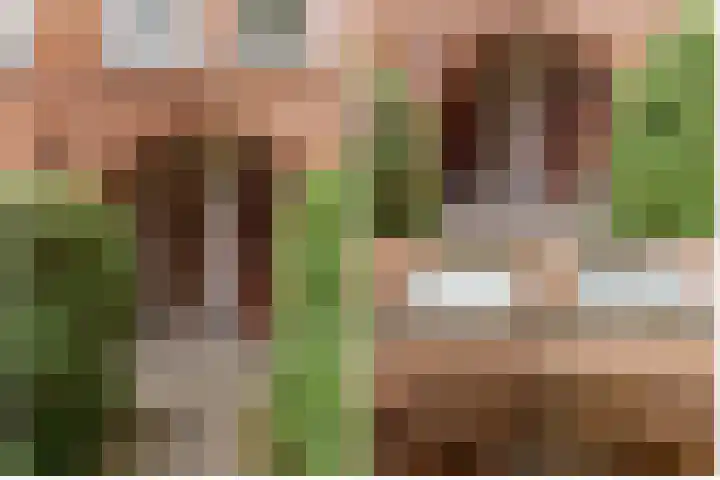De Savornin Lohmanlaan 20 B 02 Rotterdam thumbnail 33