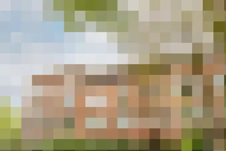 De Savornin Lohmanlaan 20 B 02 Rotterdam thumbnail 34