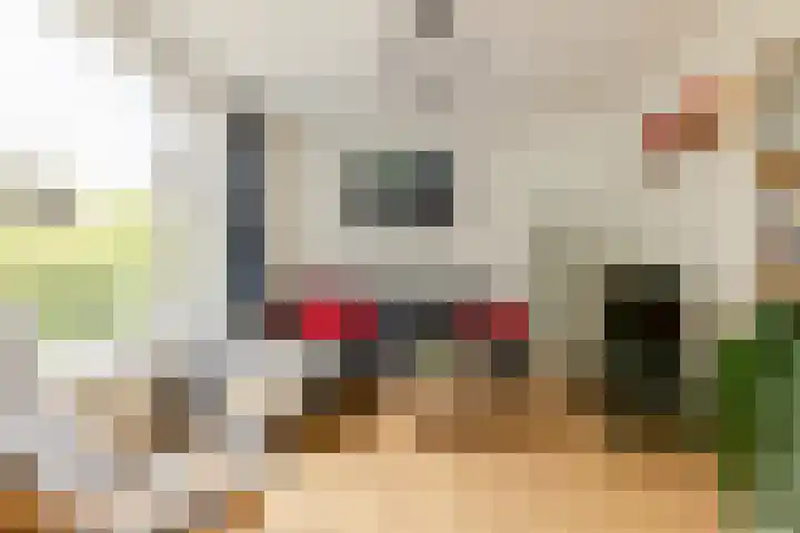 De Savornin Lohmanlaan 20 B 02 Rotterdam thumbnail 39