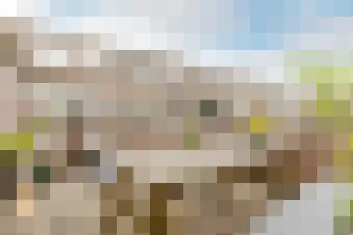 De Savornin Lohmanlaan 20 B 02 Rotterdam thumbnail 5
