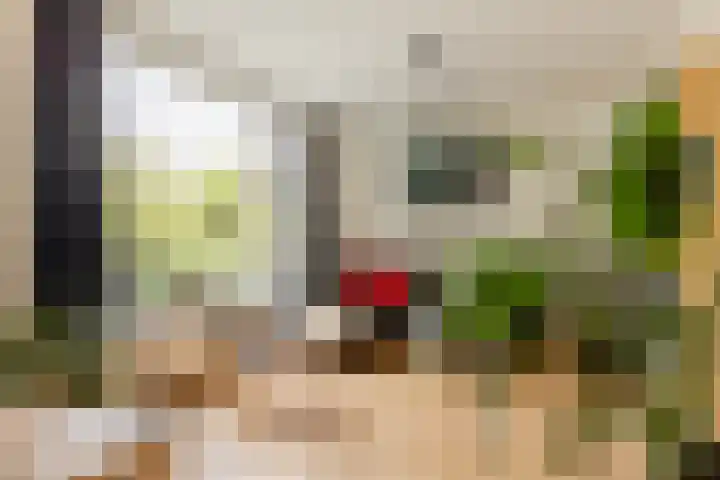 De Savornin Lohmanlaan 20 B 02 Rotterdam thumbnail 6