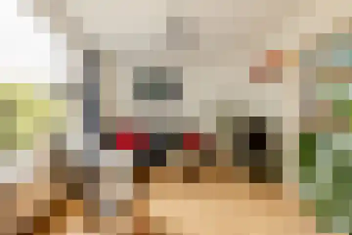 De Savornin Lohmanlaan 20 B 02 Rotterdam thumbnail 7