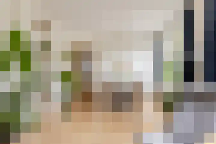 De Savornin Lohmanlaan 20 B 02 Rotterdam thumbnail 8