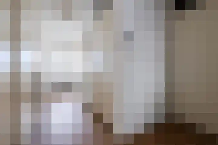De Savornin Lohmanlaan 20 Zeist thumbnail 10