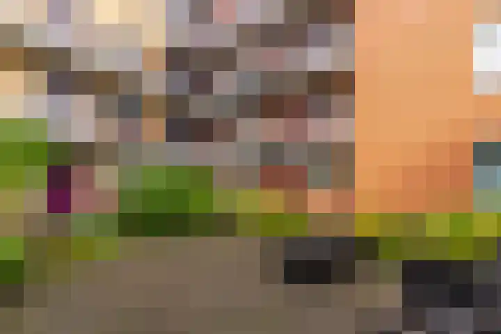 De Savornin Lohmanlaan 20 Zeist thumbnail 17