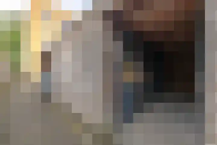 De Savornin Lohmanlaan 20 Zeist thumbnail 19
