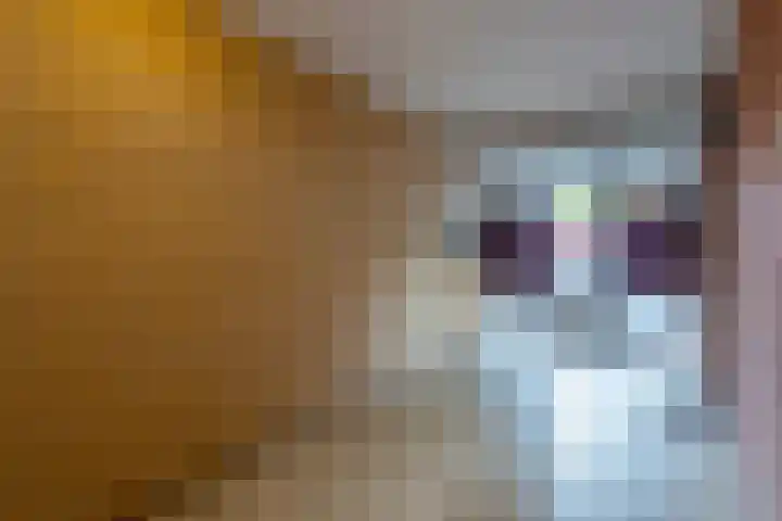 De Savornin Lohmanlaan 20 Zeist thumbnail 20