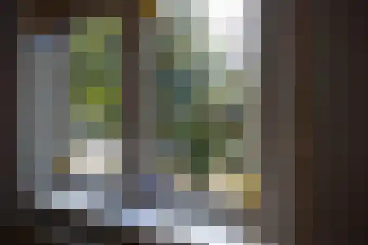 De Savornin Lohmanlaan 22 Groningen thumbnail 16