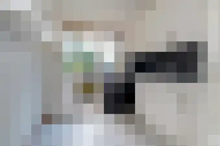 De Savornin Lohmanlaan 22 Groningen thumbnail 18