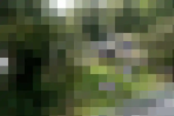 De Savornin Lohmanlaan 22 Groningen thumbnail 31