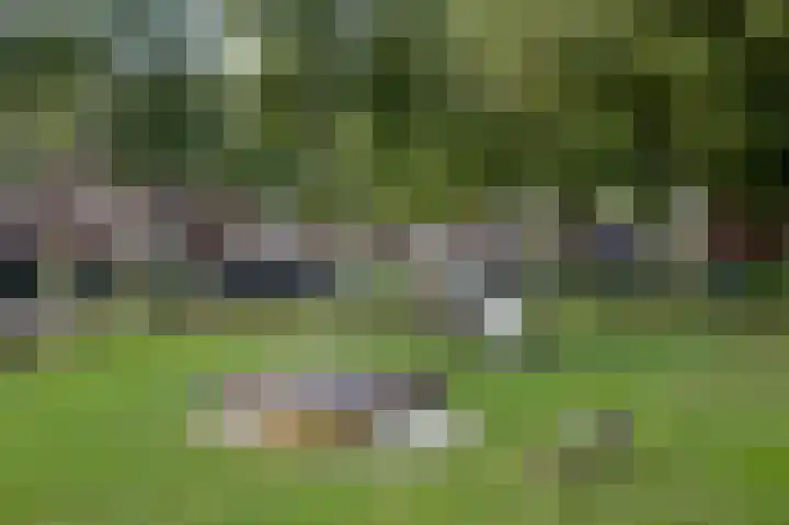 De Savornin Lohmanlaan 22 Groningen thumbnail 37
