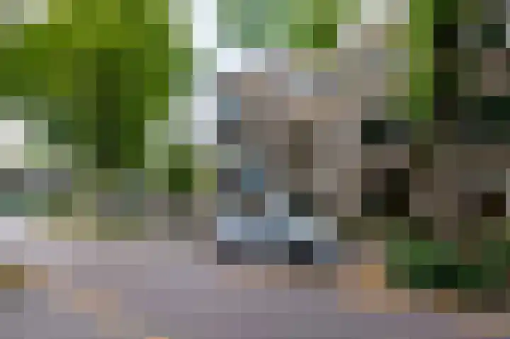 De Savornin Lohmanlaan 22 Groningen thumbnail 39