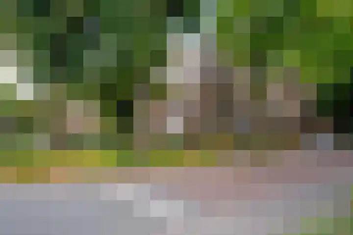 De Savornin Lohmanlaan 22 Groningen thumbnail 40