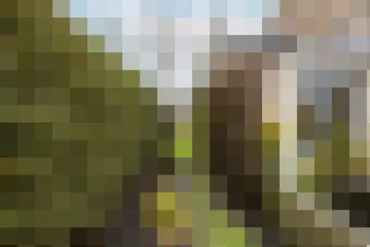 De Savornin Lohmanlaan 23 Vlissingen thumbnail 12