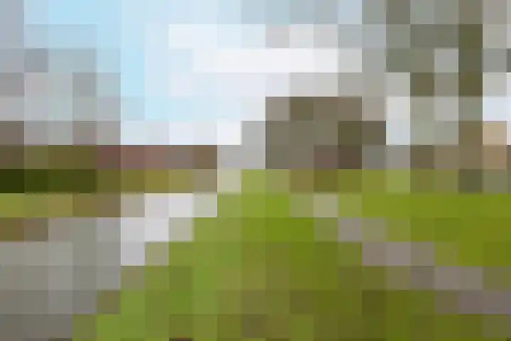 De Savornin Lohmanlaan 23 Vlissingen thumbnail 4