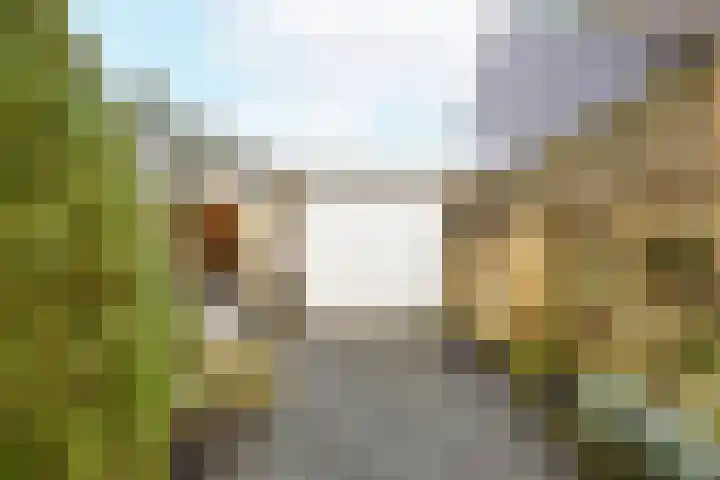 De Savornin Lohmanlaan 23 Vlissingen thumbnail 6