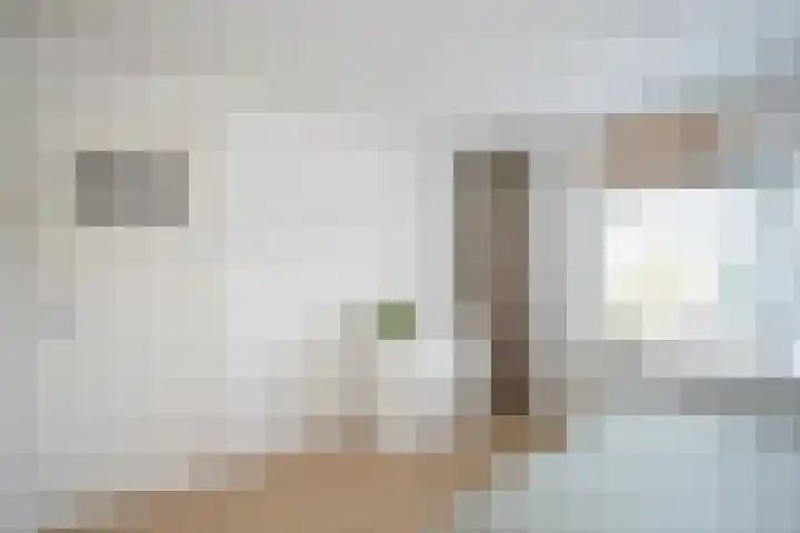 De Savornin Lohmanlaan 24 Zwolle thumbnail 15