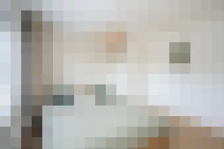 De Savornin Lohmanlaan 24 Zwolle thumbnail 16