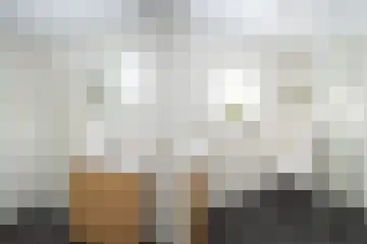 De Savornin Lohmanlaan 24 Zwolle thumbnail 20
