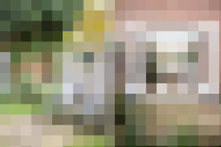 De Savornin Lohmanlaan 24 Zwolle thumbnail 22